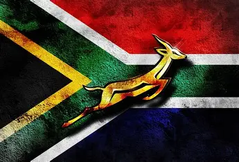 Picture of the official South African Flag